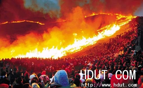 Www.Hdut.Com